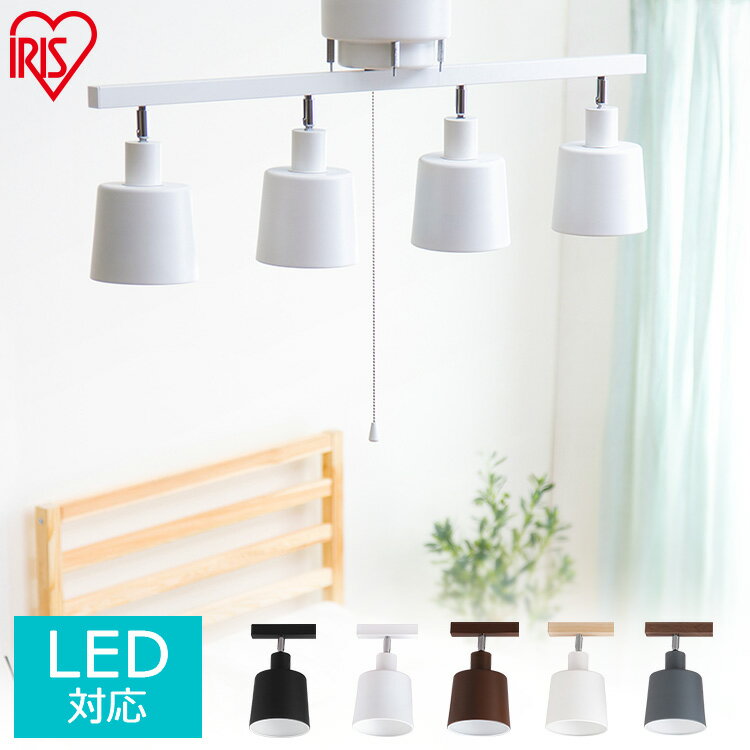 4 ȥ졼 CE4LA-20S-W CE4LA-20S-B CE4LA-20S-T ۥ磻 ֥å ֥饦 ̵ 4󥰥饤 ݥåȥ饤 ˥ ŷ LED 饤    ꥹ