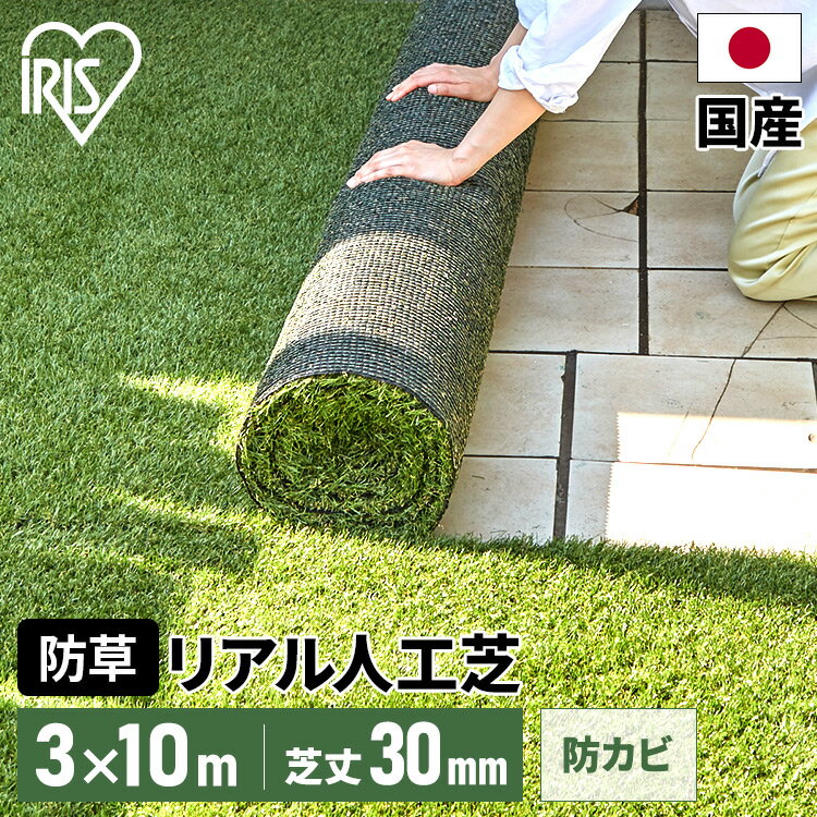 【あす楽】人工芝 3×10m 芝丈30mm アイリスオーヤマ送料無料 リアル 防草 人工芝 国産人工芝 防草 メンテナンスフリー 防カビ 雑草対策 芝丈3cm クッション性 ベランダ ガーデン 人工芝マット RP-30310【D】 【代引不可】のサムネイル
