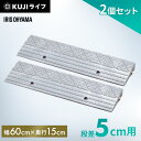 【2個セット】段差プレート 5cm 段差 幅60cm 屋外 ストレート プラスティック アイリスオーヤマ送料無料 段差スロープ 段差解消ステップ 段差ステップ スロープ 駐車場 段差解消 車 車庫 玄関 玄関前 庭 つまづき防止 転倒防止 バリアフリー ガレージ 屋外用 NDP-60AE