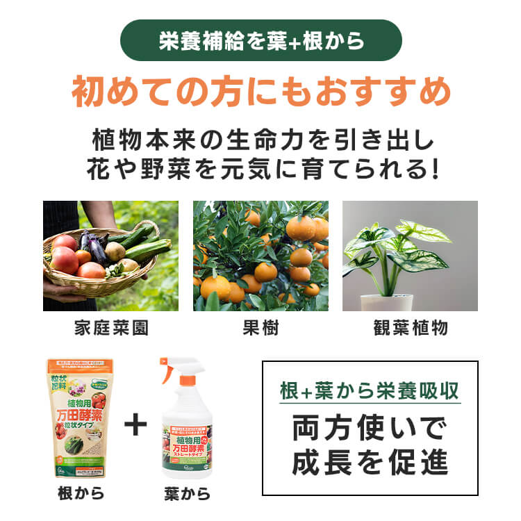 万田酵素 植物用 粒状 300g ストレート スプレー 900ml 肥料 野菜 液肥 液体肥料 植物 活力剤 園芸 花 畑 農園 施肥 果樹園 家庭菜園 ガーデニング 鉢植え 希釈 ベランダ菜園 栄養剤 有機質肥料 菜園 プランター 農業 まとめ買い 3