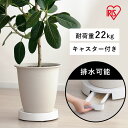 鉢置き キャスター付き 10号 鉢台 植木鉢台 キャスター付き 排水トレー付き プラントムーバー 植木鉢トレー 鉢皿 プランター台 プランタースタンド フラワースタンド 観葉植物 おしゃれ らくらく鉢受トレー ホワイト アイリスオーヤマ RHT-30
