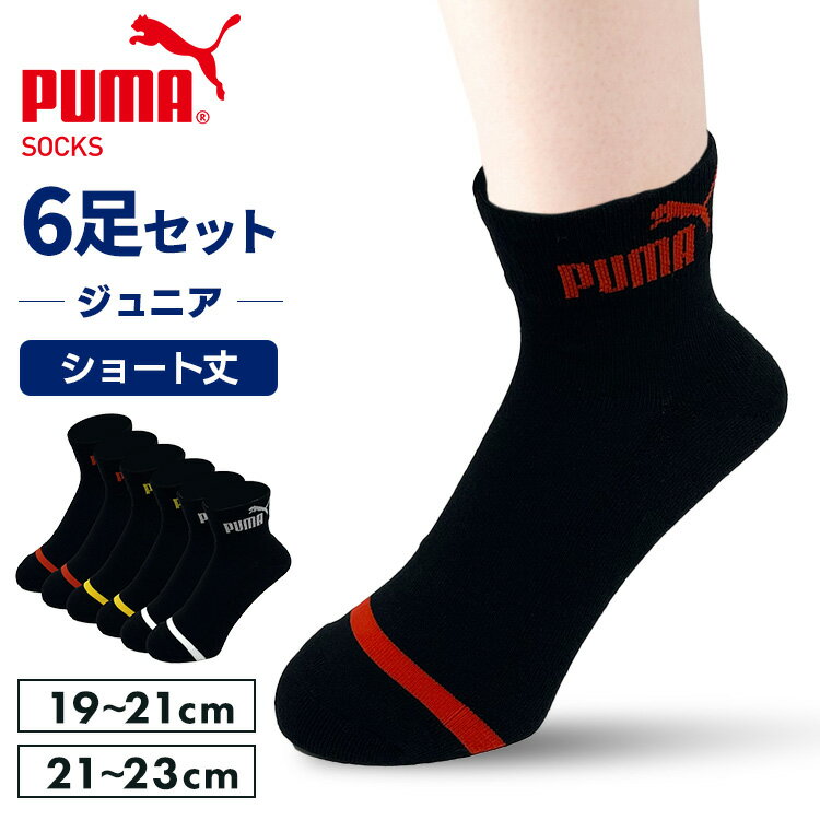 プーマ スポーツブランド ソックス PUMA6足セット 4293719送料無料 PUMA 21-23cm 靴下 ショート丈 クッションパイル 子供 ジュニア 足底クッション ブラック 黒 PUMA ブラック／21-23cm ブラック／19-21cm【D】【B】 【メール便】