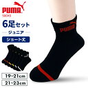 プーマ スポーツブランド ソックス PUMA6足セット 4293719送料無料 PUMA 21-23cm 靴下 ショート丈 クッションパイル 子供 ジュニア 足底クッション ブラック 黒 PUMA ブラック／21-23cm ブラック／19-21cm 