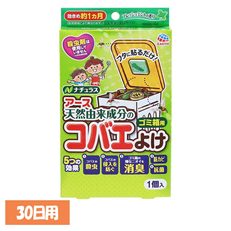 虫ケア用品 虫よけ 小バエ コバエこないアース ゴミ箱用 フレッシュミント 30日用 アース あーす 駆除 防虫 ゴミ箱 キッチン 台所 消臭 アース製薬[2512SX]