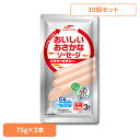 食品 缶詰 缶詰 魚肉 ソーセージ【30個】長期保存タイプ おいしいおさかなソーセージ75g3本入 19162 マルハニチロ