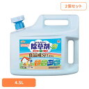 《ポイント2倍!25日19時〜》除草剤 アース製薬 ガーデン用品 おうちの草コロリ 4.5L×2個セット アースガーデン EARTH あーすせいやく 速効性 食...