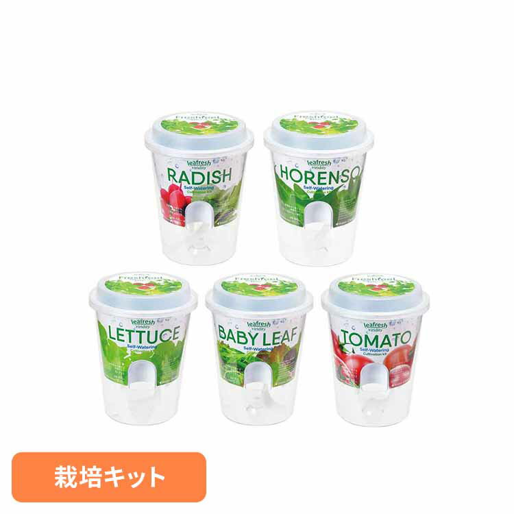 フレッシュフィールGD-81901...