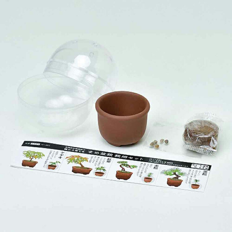 ��4�ĥ��åȡ� �ߥ��ߺ� ��ߤ� ���� ���䥭 �־� ��ΤҤ饵���� ������ ���ץ��� �ߺ� �ߺϥ��å� �ߺϥ��å� ���ݥ��å� ���ڻ� �ץ쥼��� ���ե� ������� ��ʪ �� ��ߥ� ��Ƥ륫�ץ��� �ޤ��ߺ� GD-954 ����ƫ�� *