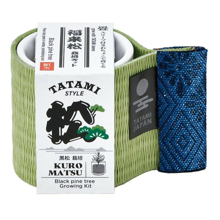 【3種セット】お芽でたおちょこ畳 栽培キット 栽培セット 黒松 鷹の爪 五色とうが...