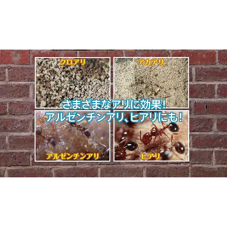 アリアトール粉剤EX 1.2kg 殺虫剤 害虫 不快害虫 蟻 アリ 巣 速効 粉 防止 予防 住...