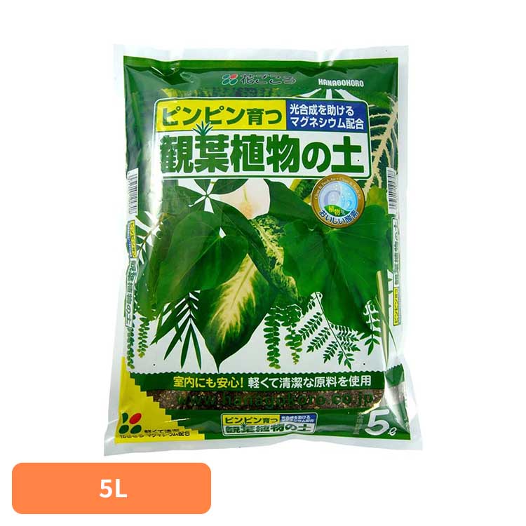 商品画像2