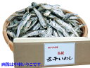 送料無料!瀬戸内の宝物!!【伊吹産・煮干いりこ】業務用・特大箱入