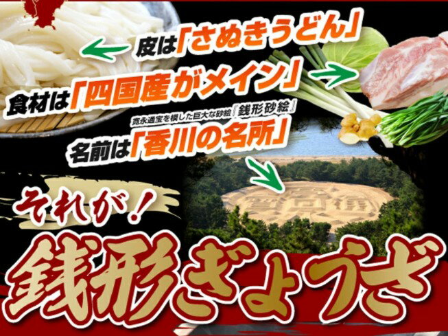 冷凍餃子 ぎょうざ ギョーザ ギョウザ ぎょーざ 鍋物 鍋物のお供 鍋物の最強助っ人具材 ちゃんこ鍋 寄せ鍋 【送料無料】無添加＜モチモチ食感！究極の讃岐うどんの皮＞【銭形餃子（100個入）】 3