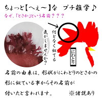 楽天市場 塩蔵赤とさか500g 国産 高級海藻 海のミネラル 海藻 高木海藻店 楽天市場 塩蔵赤とさか500g 国産 高級海藻 海のミネラル 海藻 高木海藻店