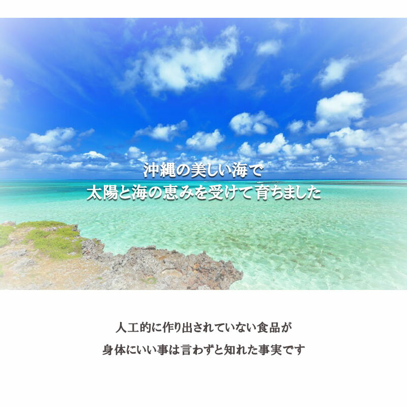 8月【月間お得商品】送料無料【味付きもずく3種類セット】（レモン・シソ・ポン酢）800g×各1袋ずつ/業務用サイズ 【 ローカロリー 】/人気商品/カロリーカット/簡単ダイエット/フコイダン/トレーニング/補助食品/糖質制限/海人/空腹/小腹/おつまみ