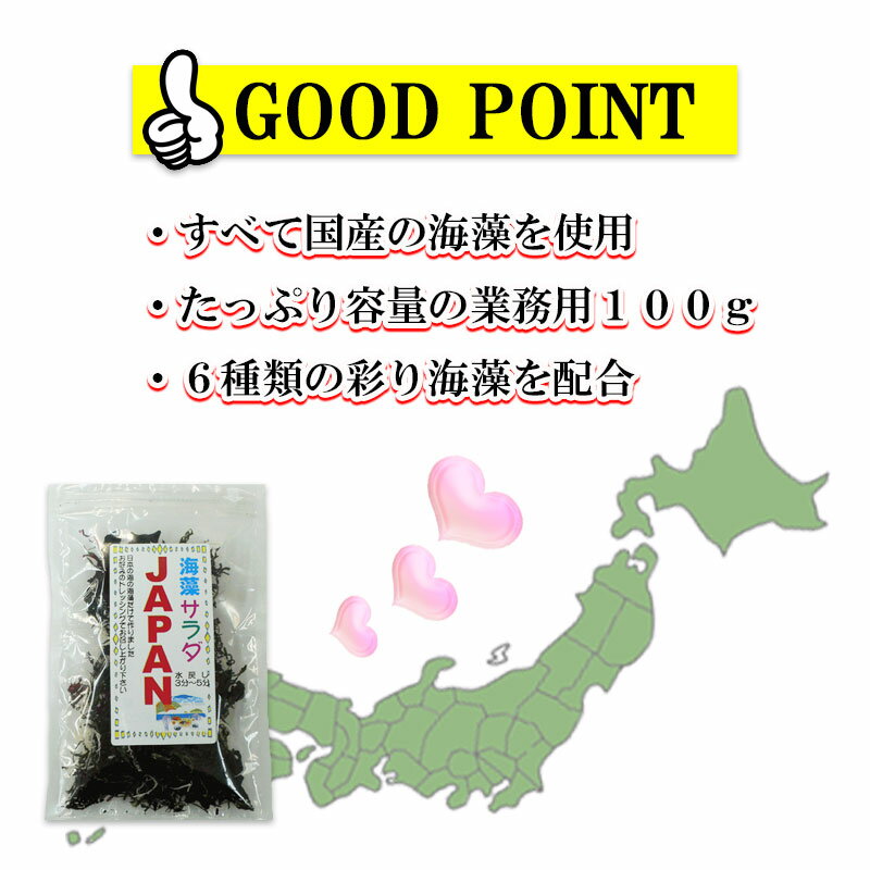 海藻サラダJAPAN100g×3袋セット/【国産】業務用サイズお得品/人気サラダ/カロリーカット