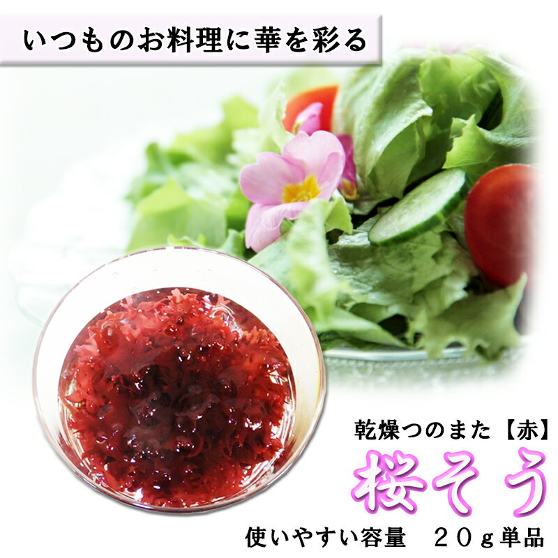 華やか食材【つのまた　赤】20g/高