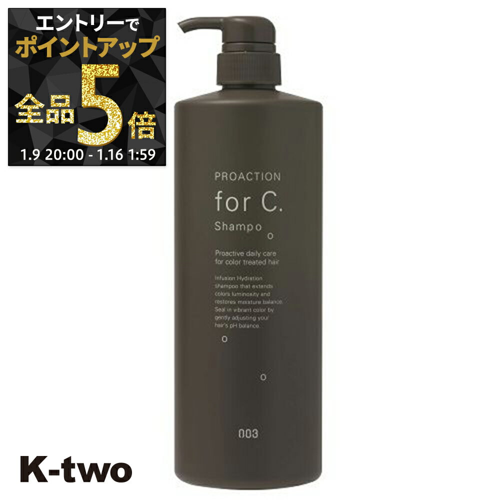 【9日20時〜エントリー全品5倍】ナンバースリー シャンプー 【 プロアクション Cシャンプー 1000ml】 ヘアケア サロン専売品 K-two