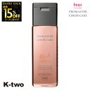 【オープン記念★全品15%OFFクーポン】 ホーユー シャンプー 【 プロマスター カラーケア リッチ シャンプー 250ml】 ヘアケア hoyu 美容室専売 サロン専売品 サロン K-two