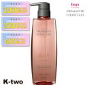 【期間限定★全品最大2000円OFF】ホーユー シャンプー 【 プロマスター カラーケア リッチ シャンプー 600ml】 ヘアケア hoyu 美容室専売 サロン専売品 サロン K-two