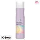 ウエラ シャンプー 【 カラーモーション+ アメジストシャンプー 250ml】 WELLA PROFESSIONALS ヘアケア 美容室専売 サロン専売品 サロン K-two