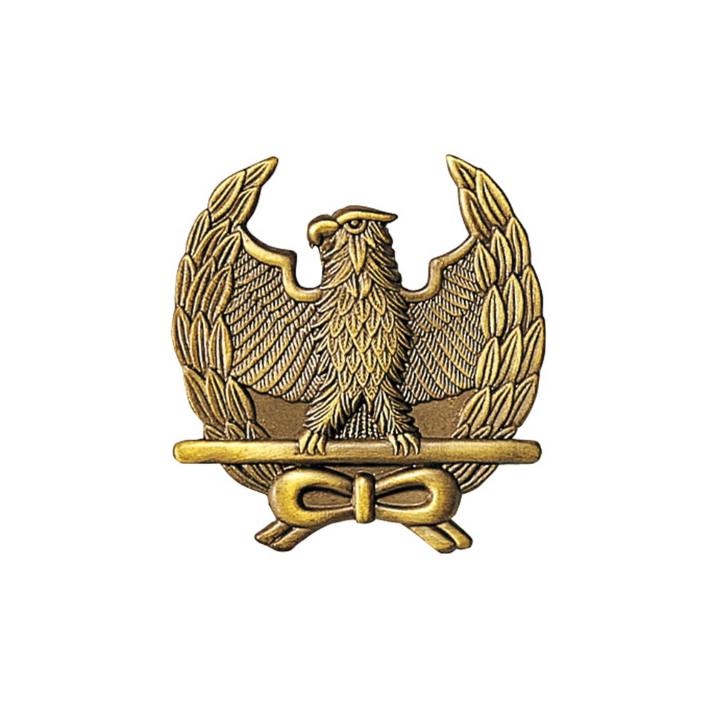 G-bestʷʡˡS550˹ϡݥ亮