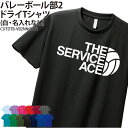 ドライTシャツ バレーボール Tシャツ 半袖 クラブ 部活 サークル チーム 練習着 トレーニングウェア 入学 卒業 入部 卒部 記念品 プレゼント ドライ 速...