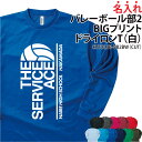 ドライロンT 長袖Tシャツ ロンT バレーボール ビッグプリント バレー部 クラブ 部活 サークル チーム ユニフォーム トレーニングウェア 練習着 応援着 移...