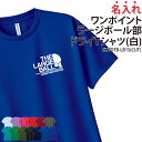 ドライTシャツ ラージボール 卓球 ワンポイント Tシャツ クラブ 部活 サークル チーム トレーニングウェア 入学 卒業 入部 卒部 記念品 ドライ 速乾 吸収 薄手 メッシュ UVカット ポリエステル 名入れ CUTDTB-LB1S