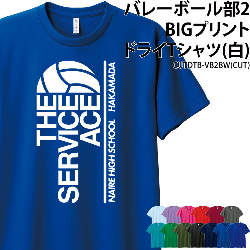 ドライTシャツ Tシャツ バレーボー