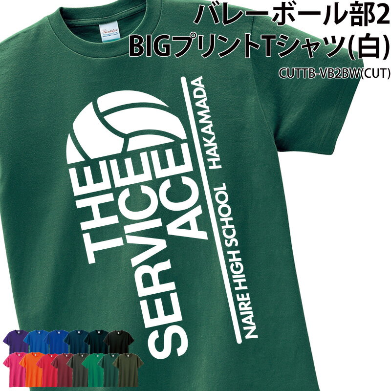 Tシャツ バレーボール ビッグプリント クラブ ユニフォーム 移動着 応援着 部活 会社 チーム カラー オ..