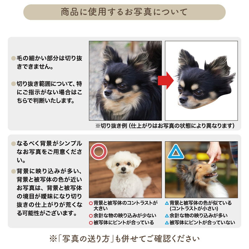 バッグ オリジナル フェイス ペット 犬 猫 ...の紹介画像3