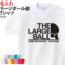 Tシャツ ラージボール 卓球 半袖 背番号 トレーニングウェア 練習着 部活着 クラブ 部活 サークル チーム 入部 卒部 オリジナル 名入れ 無料 英字 おしゃれ ギフト プレゼント TB-LB1
