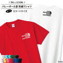 【衝撃の50%OFF以上!】【楽天ランキング堂々の1位受賞】Tシャツ バレーボール 刺繍 チーム名 名入れ 無料 ネイビー ホワイト 黒 半袖 ユニフォーム 記...