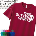 ドライTシャツ バレー バレー部 Tシャツ 半袖 クラブ 部活 サークル チーム 練習着 トレーニングウェア 卒団 入学 卒業 入部 卒部 記念 記念品 プレゼント セッター お揃い ドライ 速乾 吸収 薄手 メッシュ UVカット ポリエステル CUTDTB-VB7NN