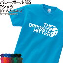 Tシャツ バレー バレー部 オポジット 半袖 クラブ 部活 サークル チーム 練習着 移動着 応援着 トレーニングウェア ウォーミングアップウェア 入学 卒業 ...