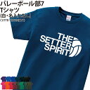 Tシャツ バレー バレー部 セッター 半袖 クラブ 部活 サークル チーム 練習着 移動着 応援着 トレーニングウェア ウォーミングアップウェア 入学 卒業 入部 卒部 記念品 ギフト プレゼント おそろい CUTTB-VB7NN