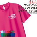 ドライTシャツ バドミントン ワンポイント 半袖 背番号 Tシャツ tシャツ クラブ 部活 サークル チーム 練習着 トレーニングウェア 入学 卒業 入部 卒部...