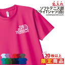 【20枚以上購入限定価格】ドライTシャツ ソフトテニス Tシャツ 半袖 背番号 クラブ 部活 サークル チーム 練習着 トレーニングウェア 入学 卒業 入部 卒部 記念品 プレゼント ドライ 速乾 吸収 薄手 メッシュ UVカット ポリエステル 名入れ おそろい CUTDTB20-STN1