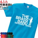 Tシャツ 吹奏楽 吹奏楽部 半袖 背番号 tシャツ ユニフォーム トレーニングウェア 練習着 移動着 応援着 クラブ 部活 会社 チーム サークル 仲間 オリジナル 入部 卒部 記念品 ギフト プレゼント 名入れ CUTTB-SI6(4)