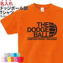 Tシャツ ドッジボール 半袖 背番号 tシャツ 練習着 部活着 クラブTシャツ プリントTシャツ クラブ 部活 入部 卒部 記念 記念品名入れ 無料 英字 ギフト 名入れ TB-DG1