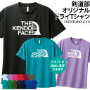 ドライTシャツ 剣道 剣道部 Tシャツ 半袖 tシャツ テキスト変更 自由トレーニングウェア 練習着 クラブ 部活 サークル 入学 卒業 入部 卒部 記念品 ド...