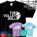 Tシャツ バレーボール バレー 半袖 背番号 tシャツ ユニフォーム トレーニングウェア 練習着 ウォーミングアップウェア クラブ 部活 会社 チーム サークル オリジナル 入部 卒部 記念品 ギフト 名入れ CUTTB-VBO1