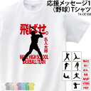 野球 Tシャツ 野球部 半袖 応援 クラブ 部活 会社 ユニフォーム チーム 記念品 プレゼント トレーニングウェア 練習着 応援着 移動着 ギフト ホワイト グレー イエロー パープル ブルー グリーン ピンク ベージュ TA-
