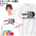 【楽天ランキング堂々の1位受賞】Tシャツ 半袖 バレー部 トレーニングウェア 練習着 バレーボール クラブ 部活 チーム ユニフォーム 白 オリジナル 名入れ 英字 おしゃれ TB-VB2 その1