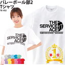 【楽天ランキング堂々の1位受賞】Tシャツ バレー バレーボール 名入れ チーム名 無料 卒業記念 入学 卒部 引退 お祝…