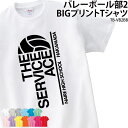 Tシャツ バレーボール バレー部 クラブ ユニフォーム 移動着 応援着 練習着 部活 会社 チーム 黒 オリジナル 名入れ トレーニングウェア TB-VB2BB