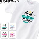 Tシャツ 白 敬老の日 プレゼント おじいちゃん おじいちゃん ギフト オリジナル 名入れ ロゴ 英字 おしゃれ TE-K1 送料無料