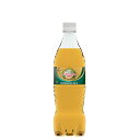 【ケースでお買い得】カナダドライ ジンジャーエール PET 700ml×20本【送料無料】【メーカー直送】【代引き不可】