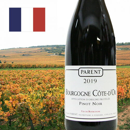 �ڥѥ��ۥ֥르���˥塦�����ȡ��ɡ���[2019](�֥磻��)[750ml][�ե��][�֥르���˥�][�ߥǥ�����ܥǥ�][�ɸ�]